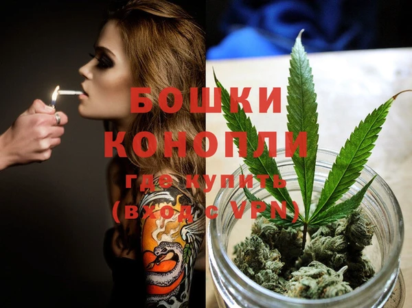 ГАЛЛЮЦИНОГЕННЫЕ ГРИБЫ Белокуриха