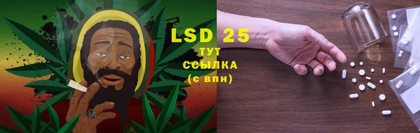 ГАЛЛЮЦИНОГЕННЫЕ ГРИБЫ Белокуриха