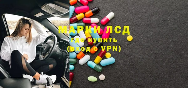 ГАЛЛЮЦИНОГЕННЫЕ ГРИБЫ Белокуриха