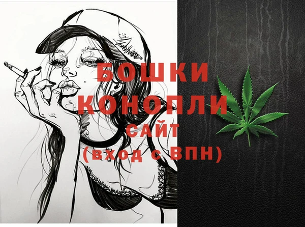 ГАЛЛЮЦИНОГЕННЫЕ ГРИБЫ Белокуриха
