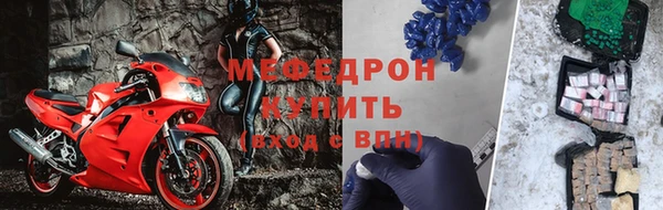 ГАЛЛЮЦИНОГЕННЫЕ ГРИБЫ Белокуриха