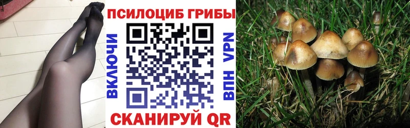 Галлюциногенные грибы MAGIC MUSHROOMS  Красновишерск 